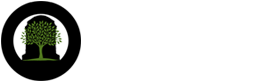 Stones & Bones - Homepage